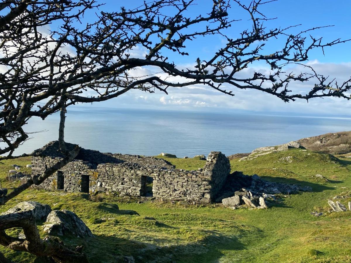 Oceandrive Bed and Breakfast Barmouth Exteriör bild
