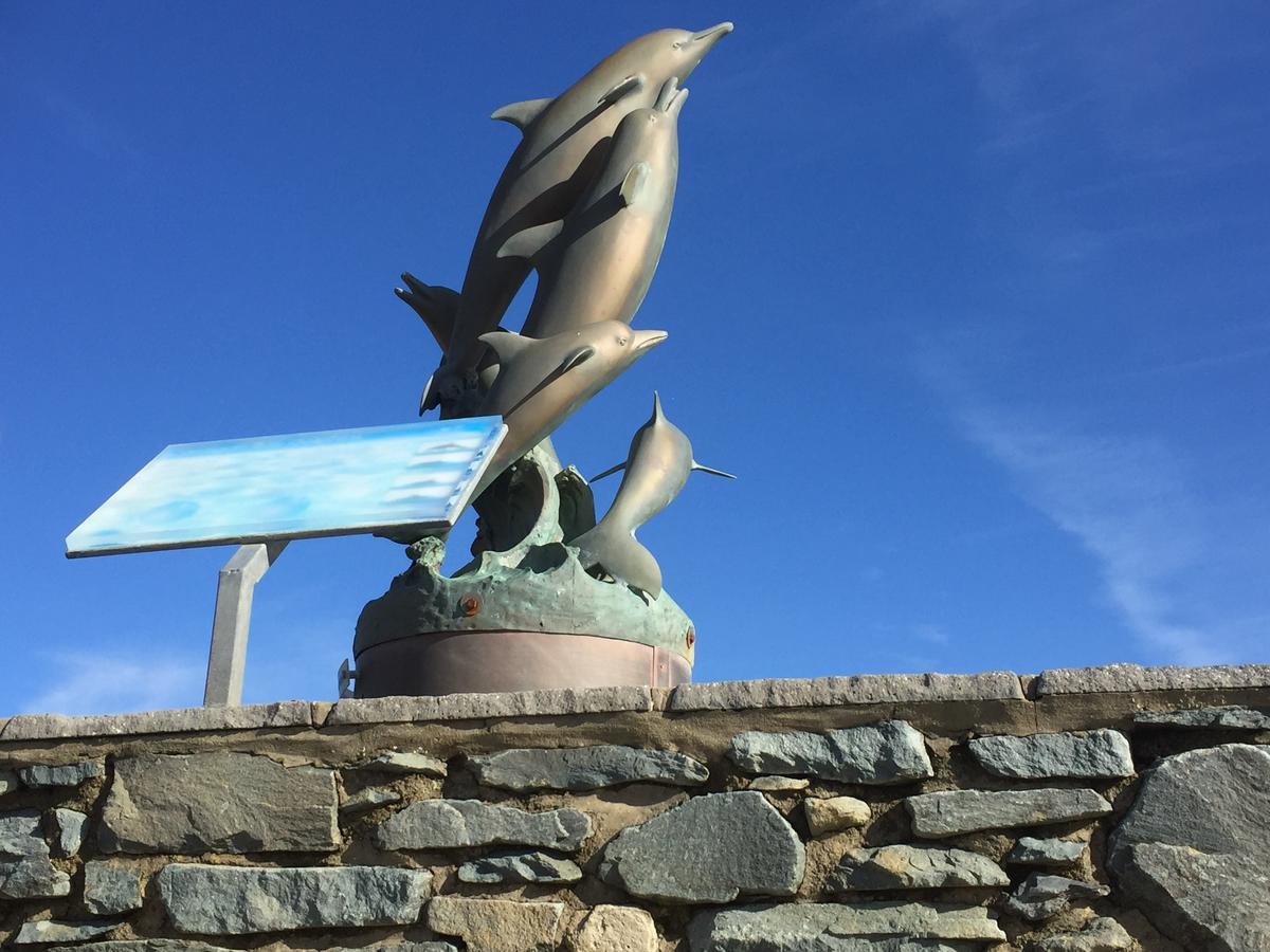 Oceandrive Bed and Breakfast Barmouth Exteriör bild